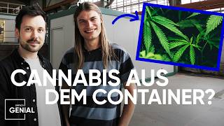 Cannabis anbauen auf 16 Quadratmetern  Einfach Genial [upl. by Eilahtan]