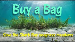 Buy a Bag and Save the Bay [upl. by Nolie]