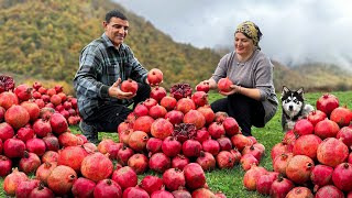 Pomegranate Jam and Fried Fish in the Mountains The Variety Of Tastes Of Nature [upl. by Niram]