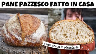 LA RICETTA DEL PANE FATTO IN CASA PIÙ BUONO E COMODO DA REALIZZARE – è facile e pieno di bolle  DZ [upl. by Niwle219]