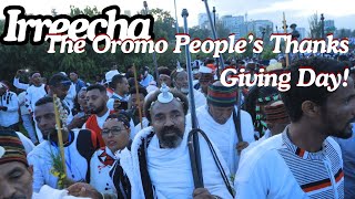 Irreecha Celebrating Oromo Tradition and Unity [upl. by Atirma11]