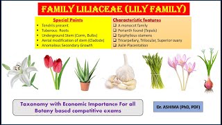 Family Liliaceae a lily family [upl. by Westphal472]