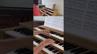 This is one of the most beautiful French romantic pieces for organ ever written [upl. by Suitangi]