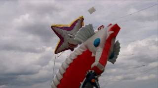 Wirral Kite Festival 2009 [upl. by Dareece525]