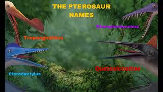 The Pterosaur Names My Post [upl. by Anirec]