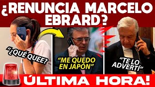 JUEVES SHOCK SUENA RENUNCIA DE EBRARD SALE A ACLARAR TODO DOCTORA DA MENSAJE A MAÑANERA AHORITA [upl. by Aryl]