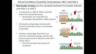 Virology Chapter 13 Part 1 [upl. by Vashtee]