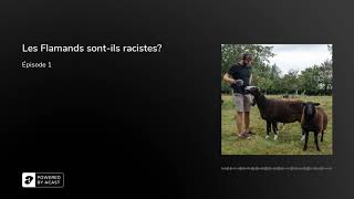 1 Les Flamands sontils racistes [upl. by Othella656]