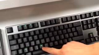 DECK Hassium Keyboard  LED Game Script  Frog Hitting Level 2 [upl. by Cindie957]