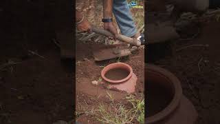 Usage of castor cake in coconut farm [upl. by Kramer959]