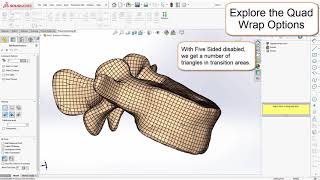 Explore the Quad Wrap command options used to reverse engineer scan meshes in SOLIDWORKS® [upl. by Rentschler]