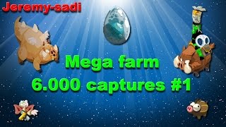 Dofus Jeremysadi  Mega farm DC 6000 captures 1 506000 [upl. by Ikaz]