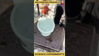 archimedes principle  science experiments experiment science shorts [upl. by Attemaj]