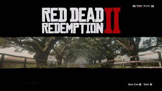 Red Dead Redemption 2 3 Skattjakt [upl. by Aremaj]