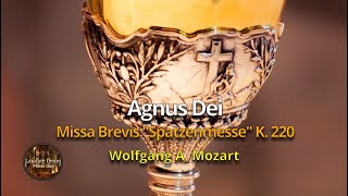 Mozart  Missa Brevis in C K220 quotSpatzenMessequot  Agnus Dei [upl. by Mandel41]