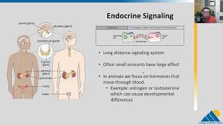 BIOL201 Ch91  Signaling Molecules and Cellular Receptors [upl. by Etka]