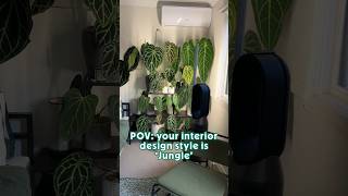 Imagine how empty it would look without the plants 🫣 houseplants indoorplants indoorjungle [upl. by Yerg]