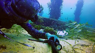 The Power Of Mindset Introspection Through Breath Holding  Margaret river Region Freediving [upl. by Ammon899]