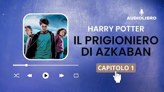 1 Harry Potter e IL PRIGIONIERO DI AZKABAN volume 3 Audiolibro  POSTA VIA GUFO [upl. by Maurita423]