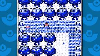 Pokémon RedBlue All Hidden Items In The Viridian Forest [upl. by Nudd115]