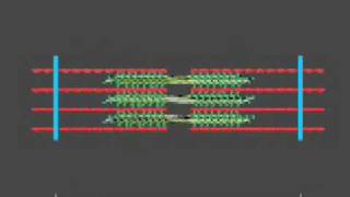 How a muscle contraction is signalled  Animation [upl. by Dougal]