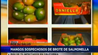 Mangos sospechosos de brote de salmonella [upl. by Ketti]