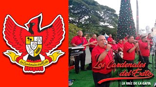 Se Adelantó la Navidad  Los Cardenales del Éxito  2022 [upl. by Anyd]