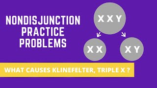 NONDISJUNCTION PRACTICE PROBLEMS KLINEFELTER SYNDROME TRIPLE X SYNDROME [upl. by North]