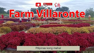 FLOWER FARM  FARM VILLARONTE  San Antonio Nueva Ecija [upl. by Coward]