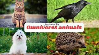 Omnivores Animals  Animals Names for Kids  Educational video [upl. by Pontias]