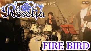 Roselia FIREBIRDを新宿でドコドコさせて頂きました（桿子Drumstickさんドコドコアレンジ版） [upl. by Eiryk91]