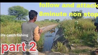 😱snakehead hunting😱 murrel fish live attacking amazing fishing [upl. by Nosyaj790]