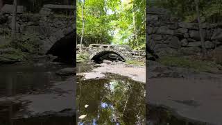 Hidden Gems of Hallowell Vaughan Woods Part 1 [upl. by Ioj]