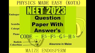 PREVIOUS YEAR NEET 2023 CODE E5  F5  G5  H5 QUESTION PAPER WITH ANSWER KEY MAIZE ENDOSPERM  4 [upl. by Khanna]