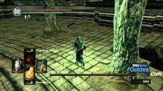 Dark Souls Walkthrough  Bed of Chaos Boss Battle Part 090  WikiGameGuides [upl. by Norrej]