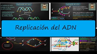 REPLICACIÓN DEL ADN [upl. by Rinum274]