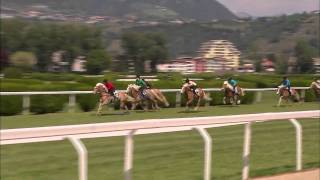 Haflinger Galopprennen in Meran [upl. by Aronek]