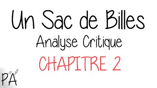 Un Sac De Billes  Analyse Critique Chapitre 2 [upl. by Ernaldus514]