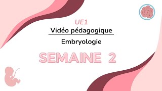 2° Semaine de développement  Vidéo Pédagogique UE 1 20242025 [upl. by Luas77]