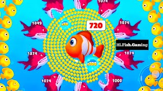 Fishdom Ads  Hungry Fish New Update 342 Fishdom Adsfishdom [upl. by Isman]