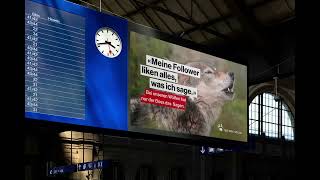 Tierpark Goldau Kampagne Big Screen 4 [upl. by Rolf]