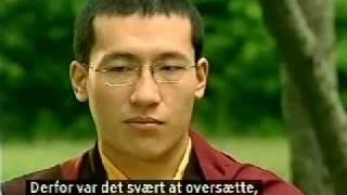 Karmapa on Youtube 17th Karmapa Thaye Dorje interview part1 [upl. by Trescott]