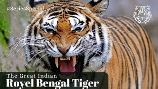 India’s Tiger Kingdom  Asia’s Wild Secrets  National Geographic Wild UK [upl. by Glaab]