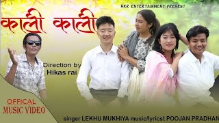 Kali KaliNew Nepali Song 2024Lekhu MukhiyaGaurab Salina  Mukesh Shrijana [upl. by Lipcombe]