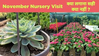 November nursery visit  क्या लगाना सही क्या नहीं  Nursery tour [upl. by Spiegelman]