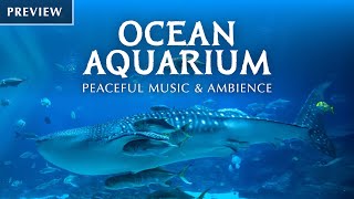 🦈 Ocean Aquarium Preview  Underwater Ambience with Peaceful Music for Study Sleep and Relaxing [upl. by Alenairam]