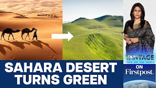 Sahara Turns Green Should we Celebrate or Worry  Vantage with Palki Sharma [upl. by Hannej856]