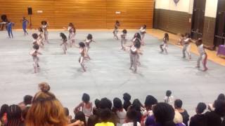 Silver Starlets Dance Team Senior Battle Squad [upl. by Fernandina152]