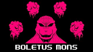 Boletus Mons Gojira Version  BitfoxOriginal Monster Of Monsters PATHOS UPDATE OST FLP [upl. by Eetnahc478]