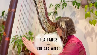 Flatlands  Chelsea Wolfe Harp Cover [upl. by Orsino]